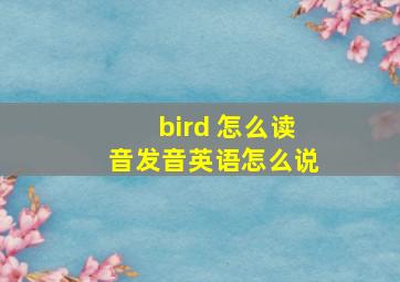 bird 怎么读音发音英语怎么说